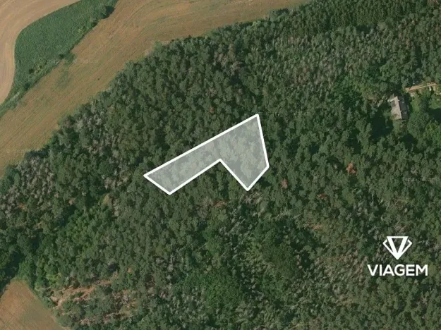 Prodej podílu lesa, Hrdlív, 807 m2