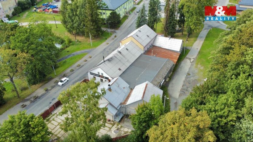 Prodej obchodního prostoru, Světlá Hora - Světlá, 400 m2