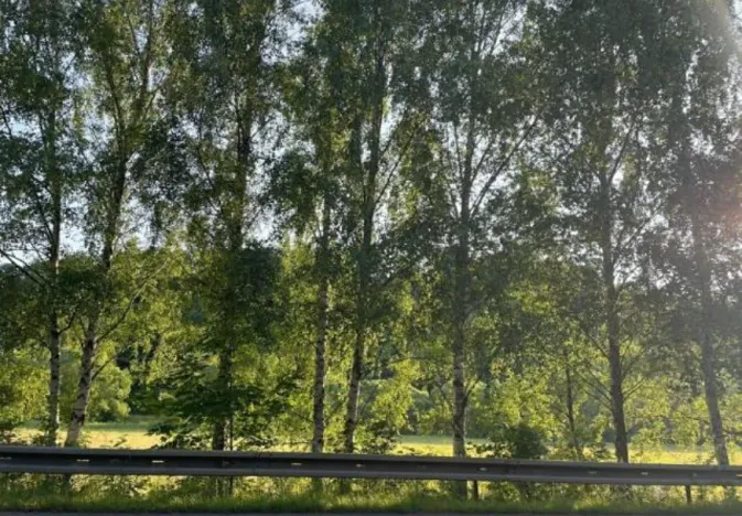 Dražba pozemku, Letovice, 1839 m2