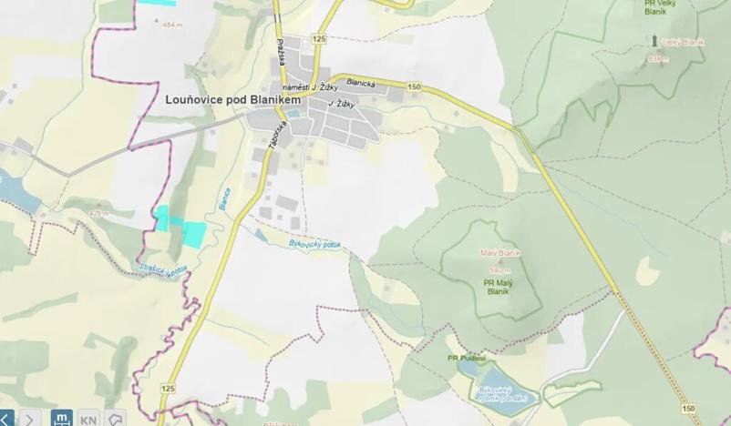 Prodej lesa, Louňovice pod Blaníkem, 8755 m2