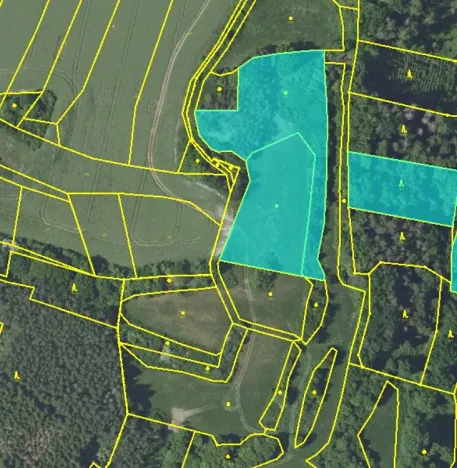 Prodej lesa, Louňovice pod Blaníkem, 8755 m2