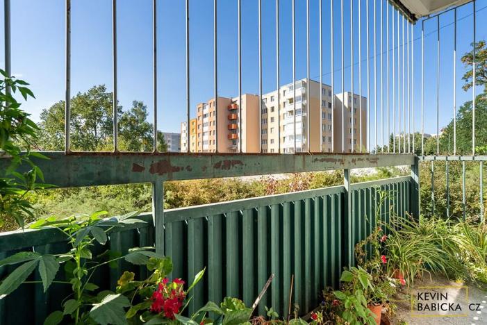 Prodej bytu 3+1, Brno, Zikova, 76 m2