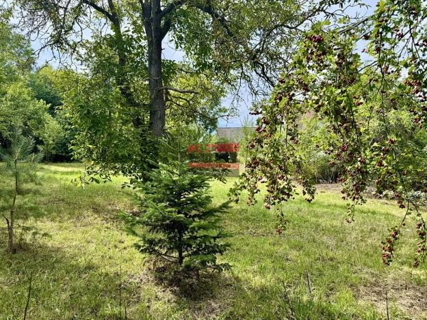 Prodej rodinného domu, Jistebnice, 274 m2