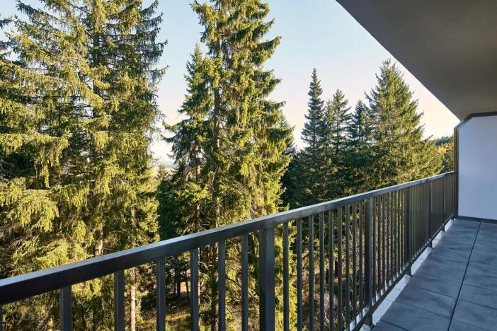 Prodej bytu 2+kk, Loučná pod Klínovcem, 31 m2