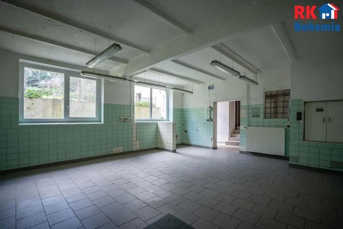 Prodej komerční nemovitosti, Mladá Boleslav, Železná, 552 m2