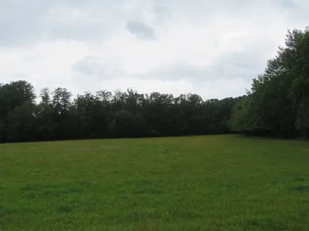 Dražba lesa, Hrabišín, 23811 m2