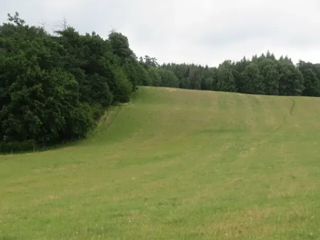 Dražba lesa, Hrabišín, 23811 m2