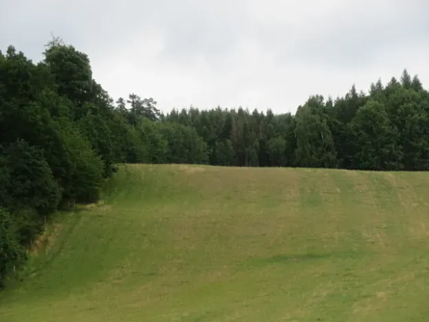 Dražba lesa, Hrabišín, 23811 m2