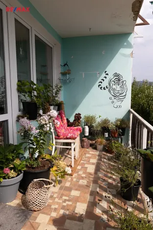 Prodej rodinného domu, Šumperk, Kocourkova, 149 m2