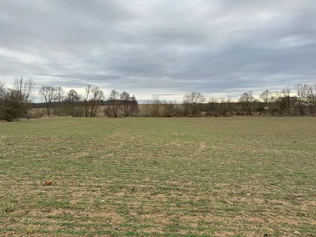 Prodej sadu/vinice, Malotice, 12163 m2