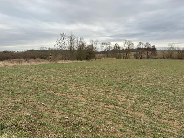 Prodej sadu/vinice, Malotice, 12163 m2