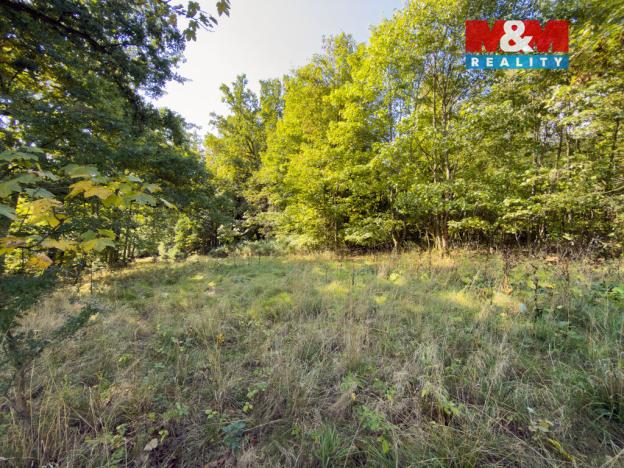 Prodej lesa, Cheb - Podhrad, 1757 m2