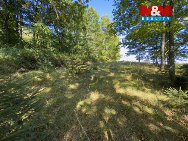 Prodej lesa, Cheb - Podhrad, 1757 m2