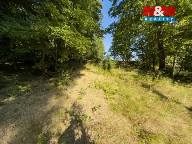 Prodej lesa, Cheb - Podhrad, 1757 m2