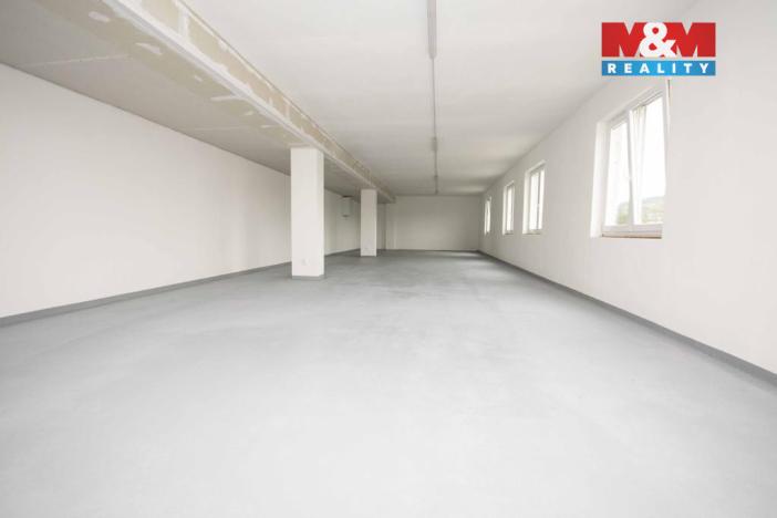 Pronájem skladu, Radošovice, 575 m2