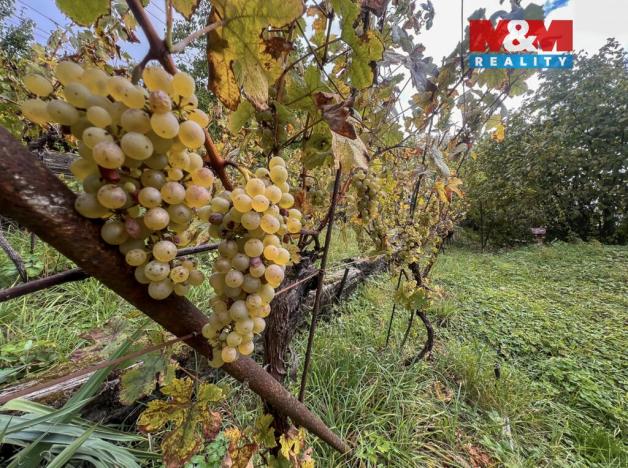 Prodej chaty, Litoměřice, 33 m2