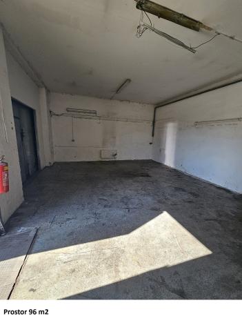 Pronájem skladu, Opava - Předměstí, Těšínská, 8925 m2