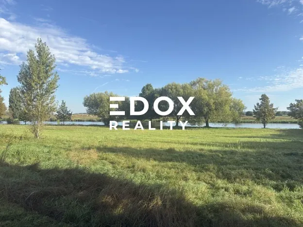 Pronájem zahrady, Záryby, 2094 m2