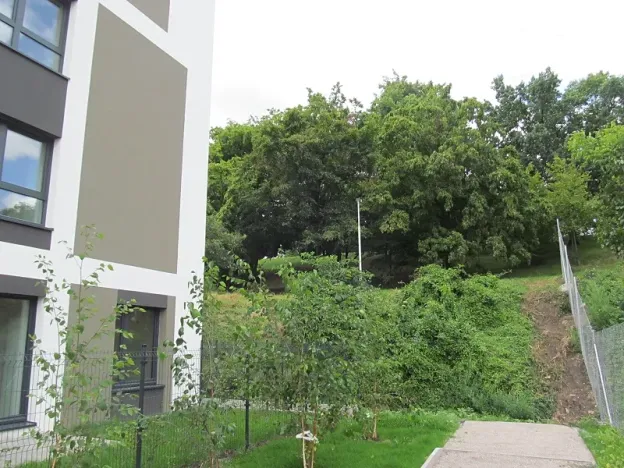 Prodej bytu 3+kk, Praha - Žižkov, Olgy Havlové, 71 m2