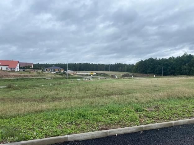 Prodej rodinného domu, Olešná, 97 m2