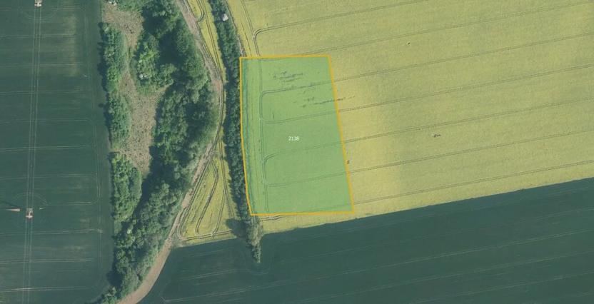 Prodej pole, Mořice, 16894 m2