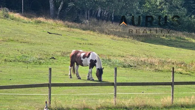 Prodej louky, Blatno, 34886 m2