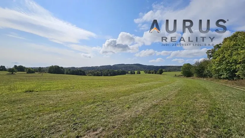 Prodej louky, Blatno, 34886 m2