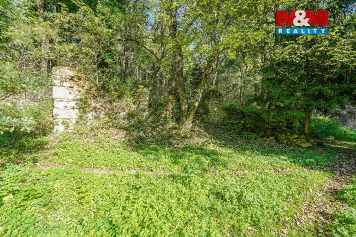 Prodej pozemku pro bydlení, Kladruby - Brod u Stříbra, 1051 m2