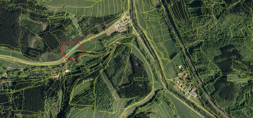 Prodej lesa, Valašská Polanka, 9692 m2