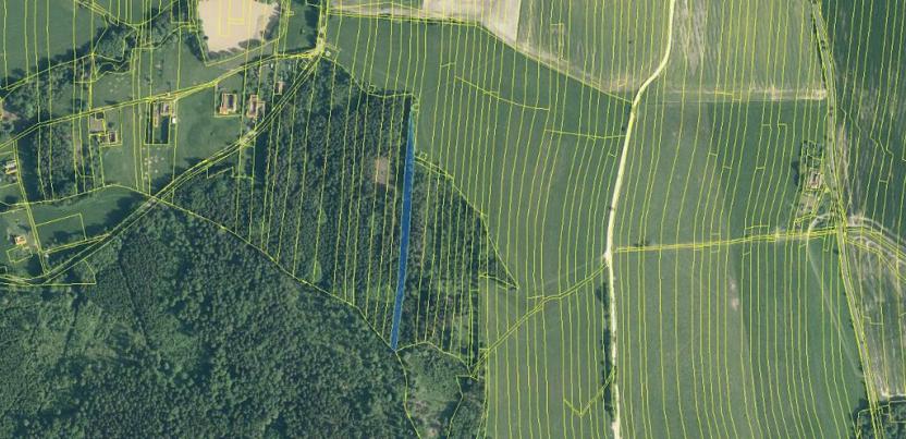 Prodej lesa, Ločenice, 5269 m2