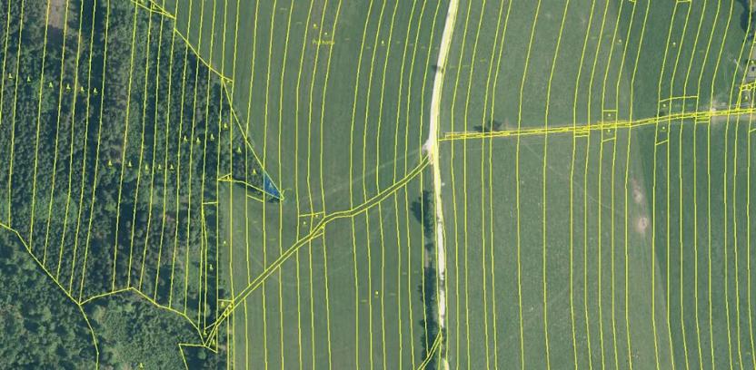 Prodej lesa, Ločenice, 5269 m2