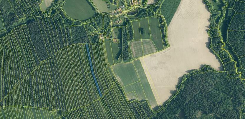 Prodej lesa, Ločenice, 7181 m2