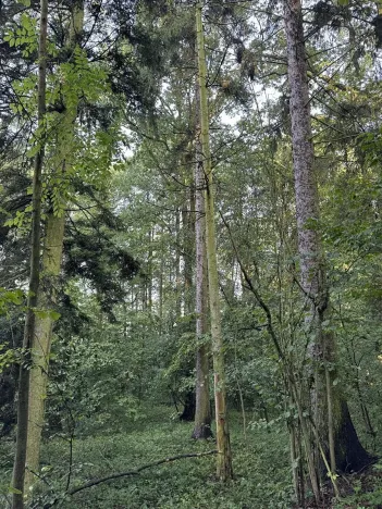 Prodej podílu pozemku, Bohuslavice, 2784 m2