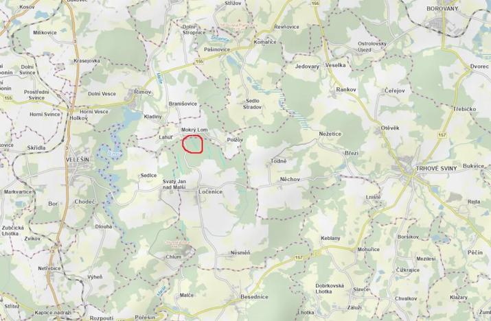 Prodej lesa, Ločenice, 8295 m2