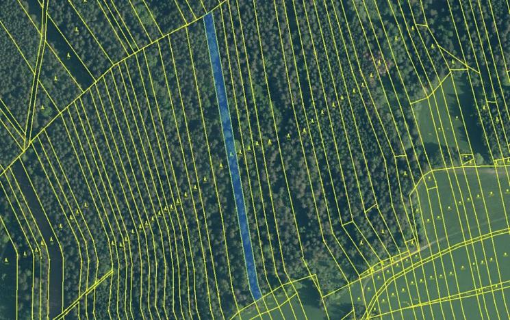 Prodej lesa, Ločenice, 4141 m2