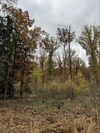 Prodej podílu pozemku, Dolní Lukavice, 43384 m2