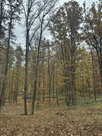 Prodej podílu pozemku, Dolní Lukavice, 43384 m2