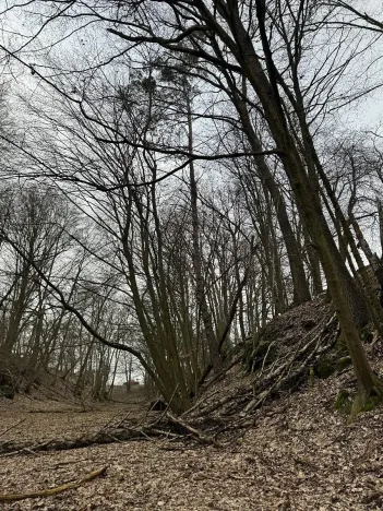 Prodej podílu lesa, Luka, 3584 m2