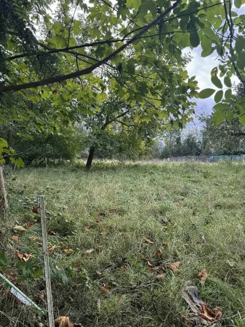 Prodej pozemku, Velké Svatoňovice, 10821 m2