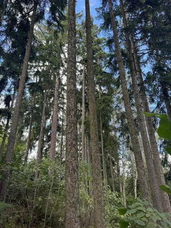 Prodej pozemku, Velké Svatoňovice, 10821 m2