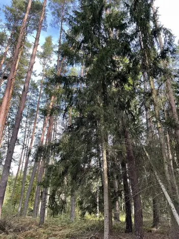 Prodej podílu pozemku, Velký Ratmírov, 3510 m2