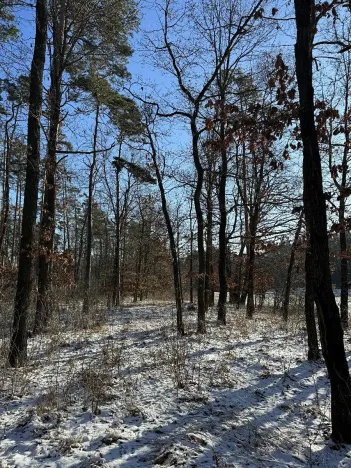 Prodej lesa, Sedlec, 1646 m2