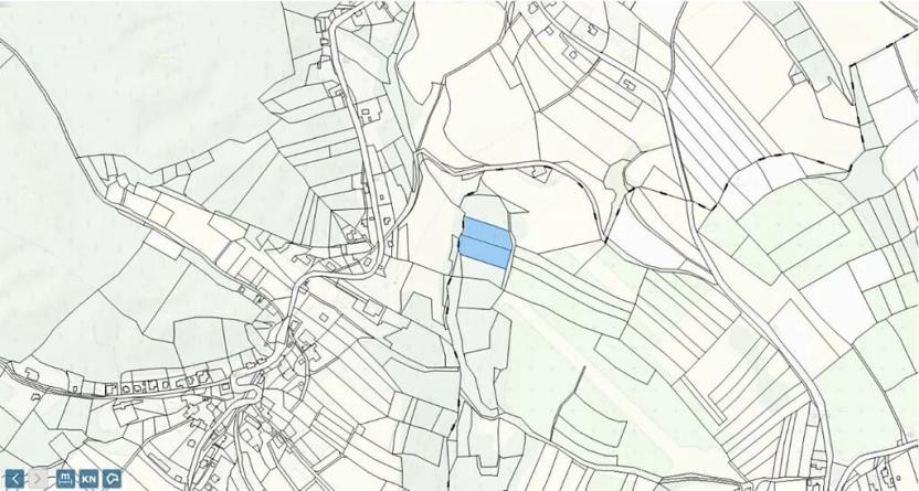 Prodej lesa, Loučky, 4938 m2