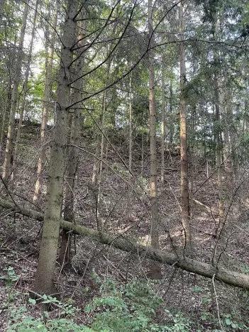 Prodej pozemku, Útěchov, 50152 m2