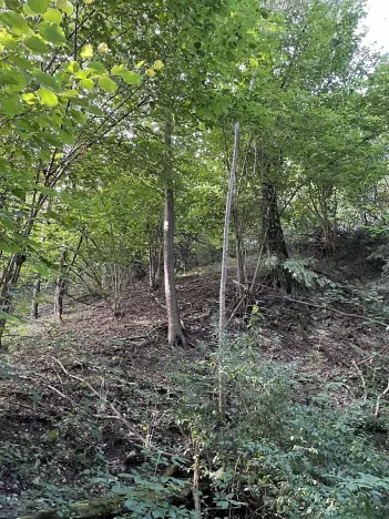 Prodej pozemku, Útěchov, 50152 m2