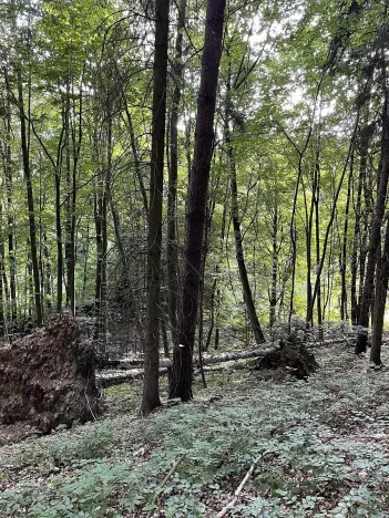 Prodej pozemku, Útěchov, 50152 m2