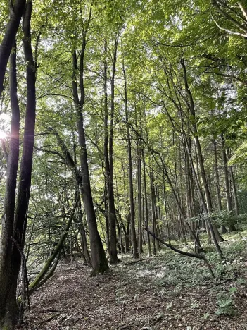 Prodej pozemku, Útěchov, 50152 m2