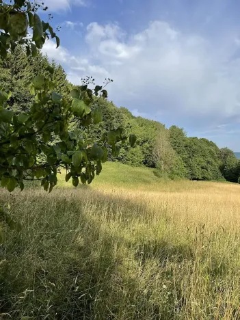 Prodej pozemku, Útěchov, 50152 m2