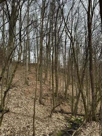 Prodej pozemku, Spálov, 12312 m2