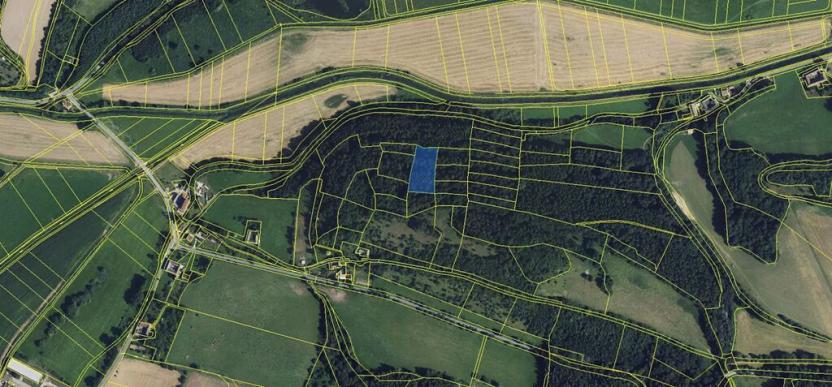 Prodej lesa, Městečko Trnávka, 4106 m2